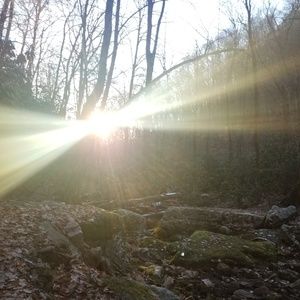 Meet your Posher, Grady